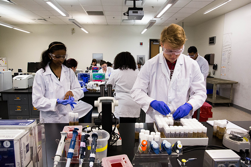 Biology Class Builds Research Skills, Autonomy in Underclassmen Now